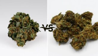 good weed vs bad weed